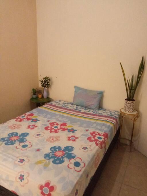 La Casa Del Pinito Apartamento Sonsonate Exterior foto